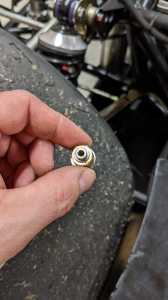 PXL 20220305 065935810