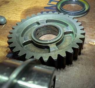 PXL 20250713 043630109